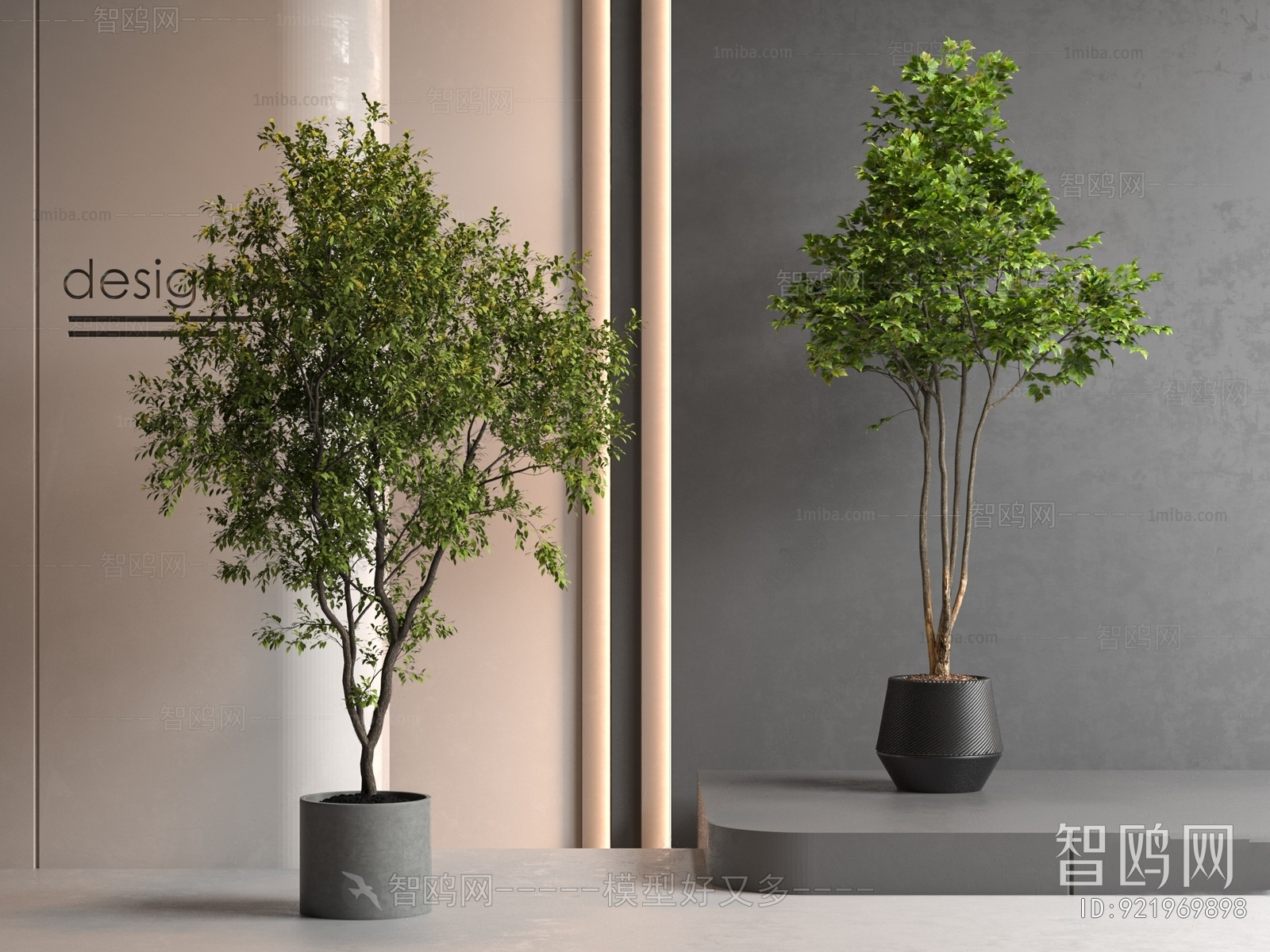 Modern Ground Green Plant Potted Plants