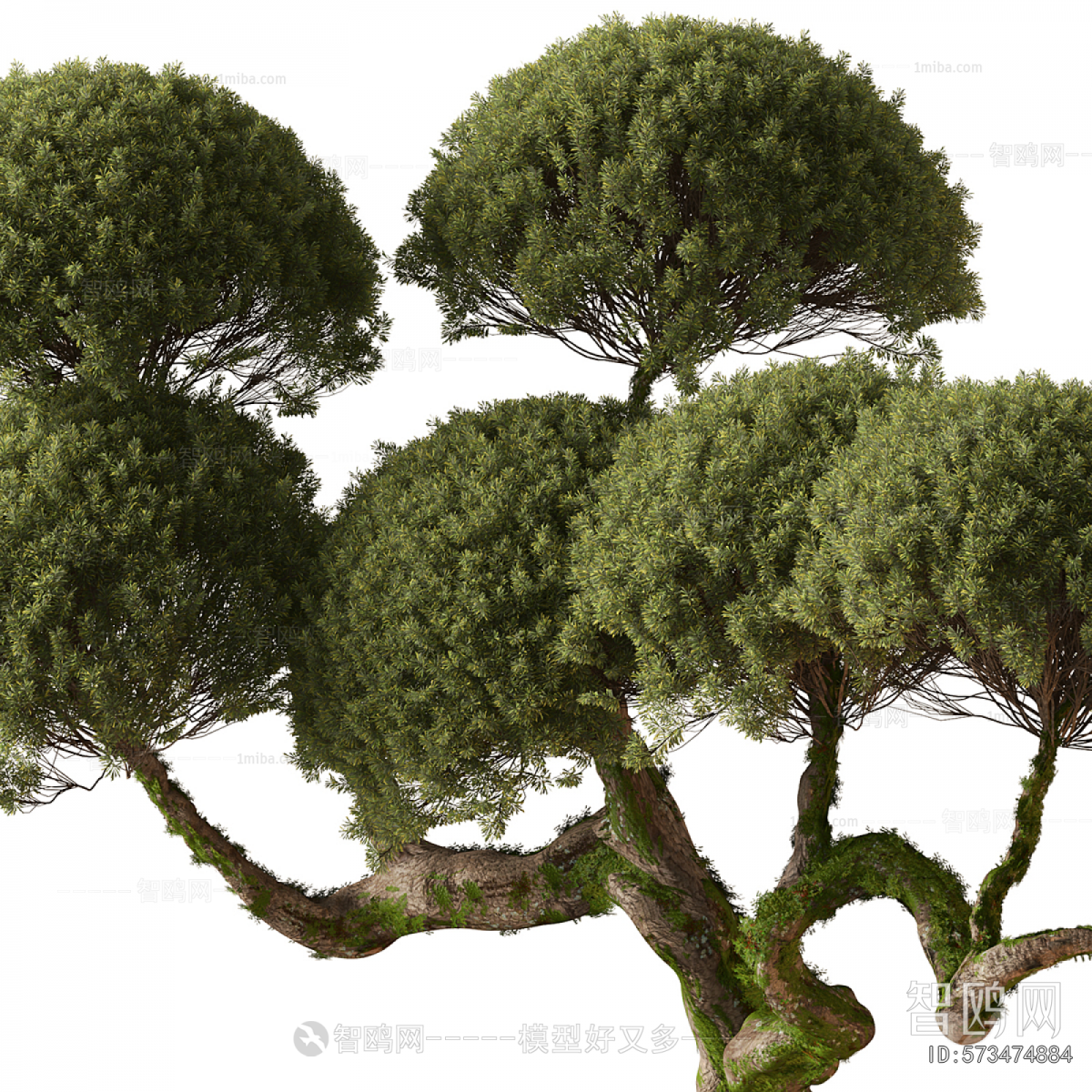 New Chinese Style Bonsai