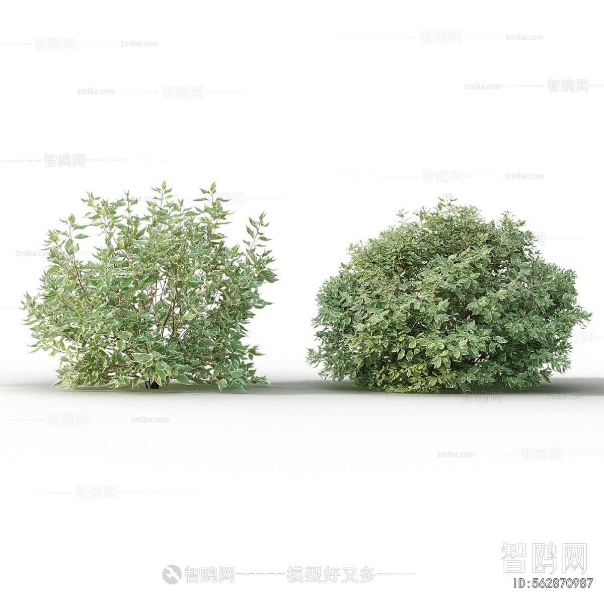 Modern Shrubbery