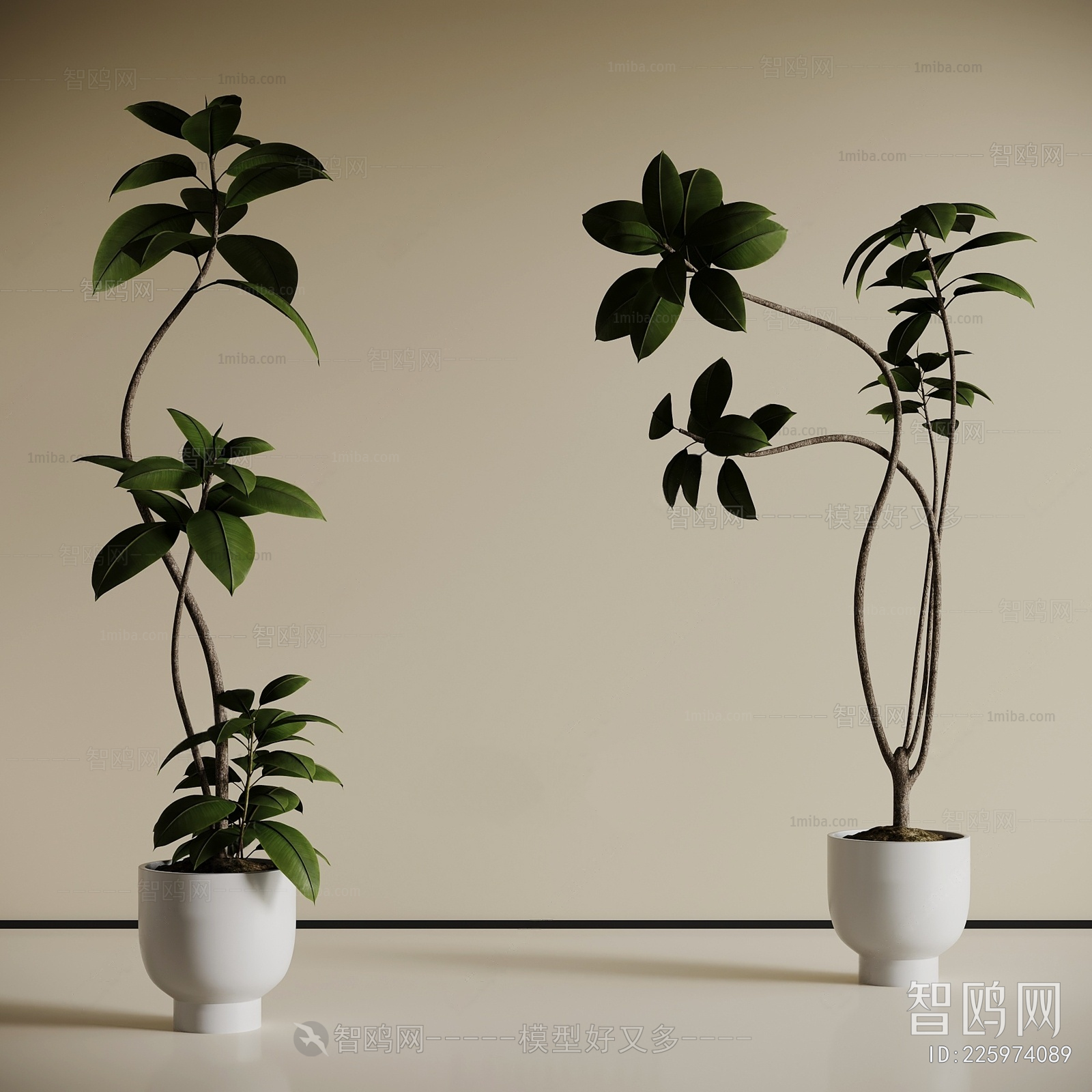 Modern Ground Green Plant Potted Plants