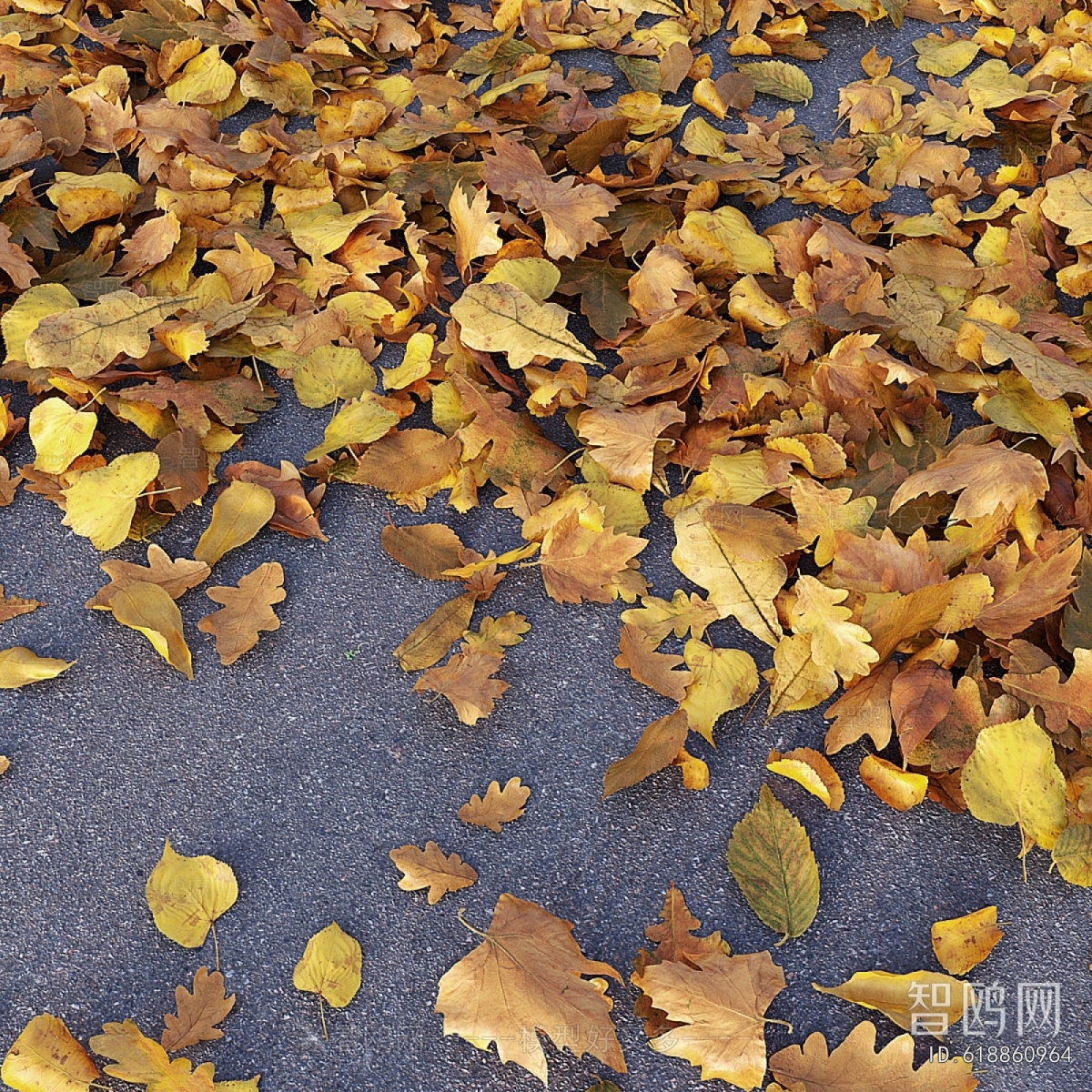 Modern Tree/shrub/grass