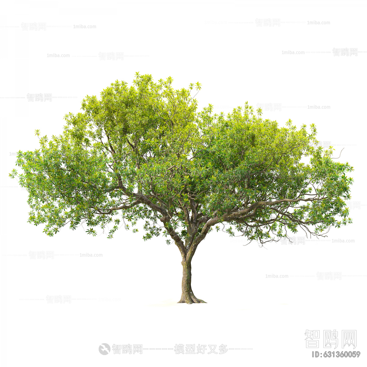 Modern Tree