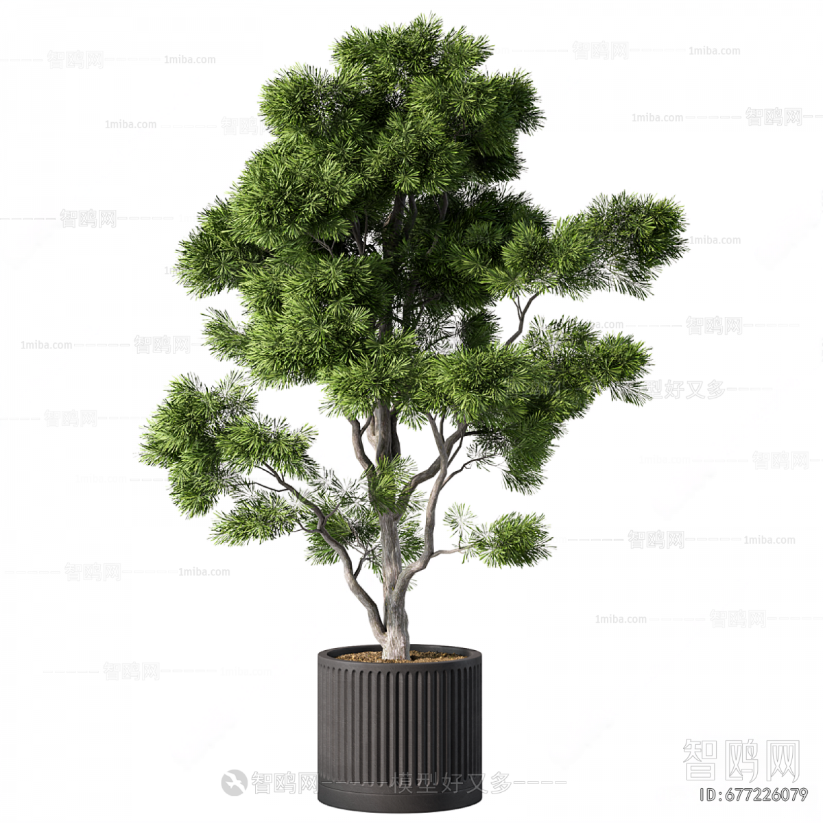 Modern Ground Green Plant Potted Plants