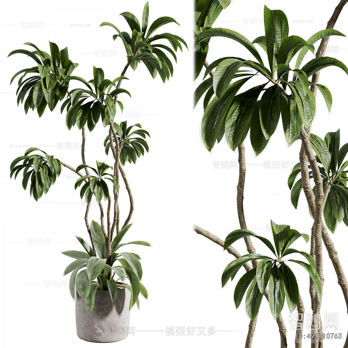 Modern Ground Green Plant Potted Plants