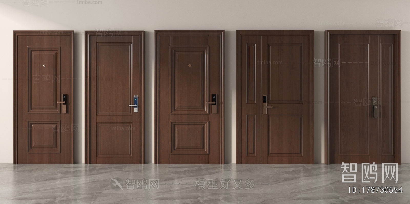 Modern Entrance Door