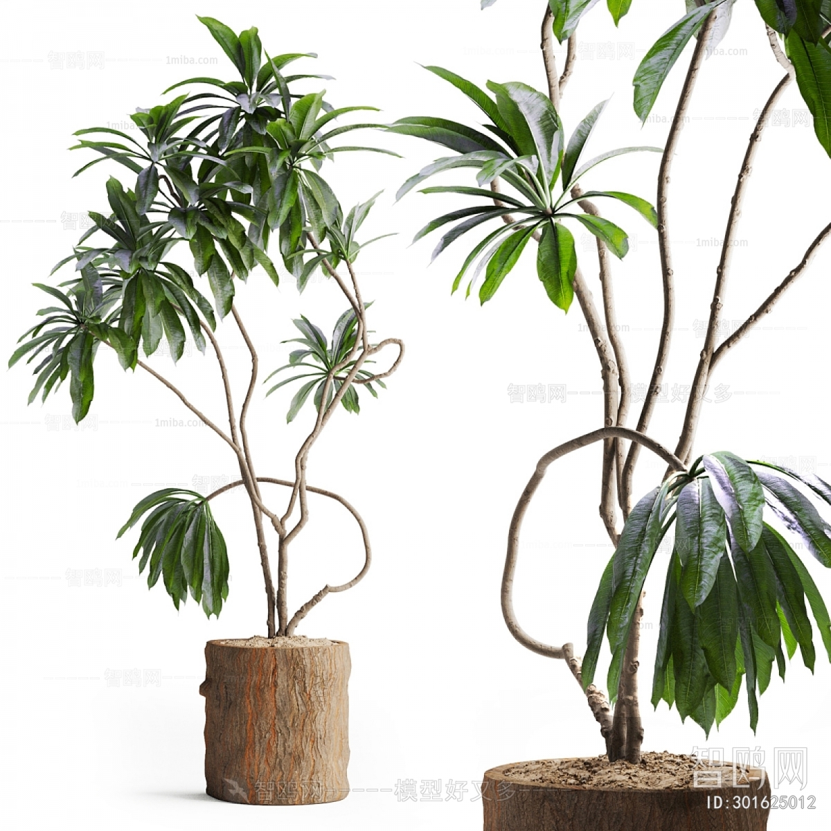 Modern Ground Green Plant Potted Plants