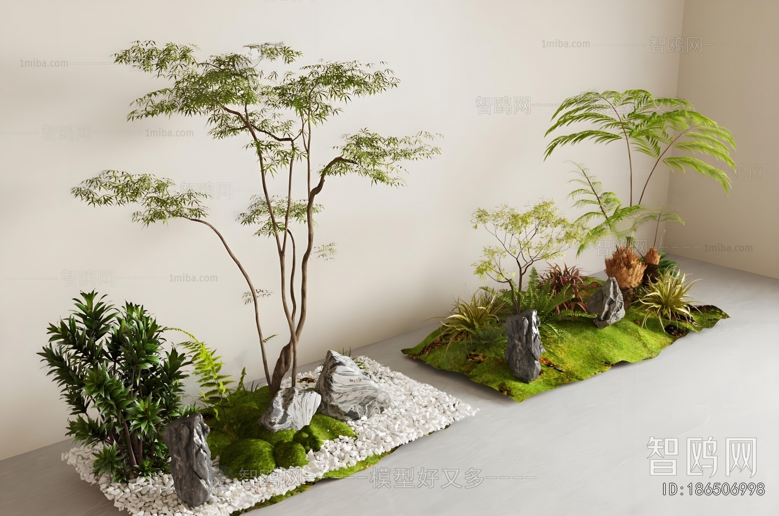 Modern Plant Landscaping