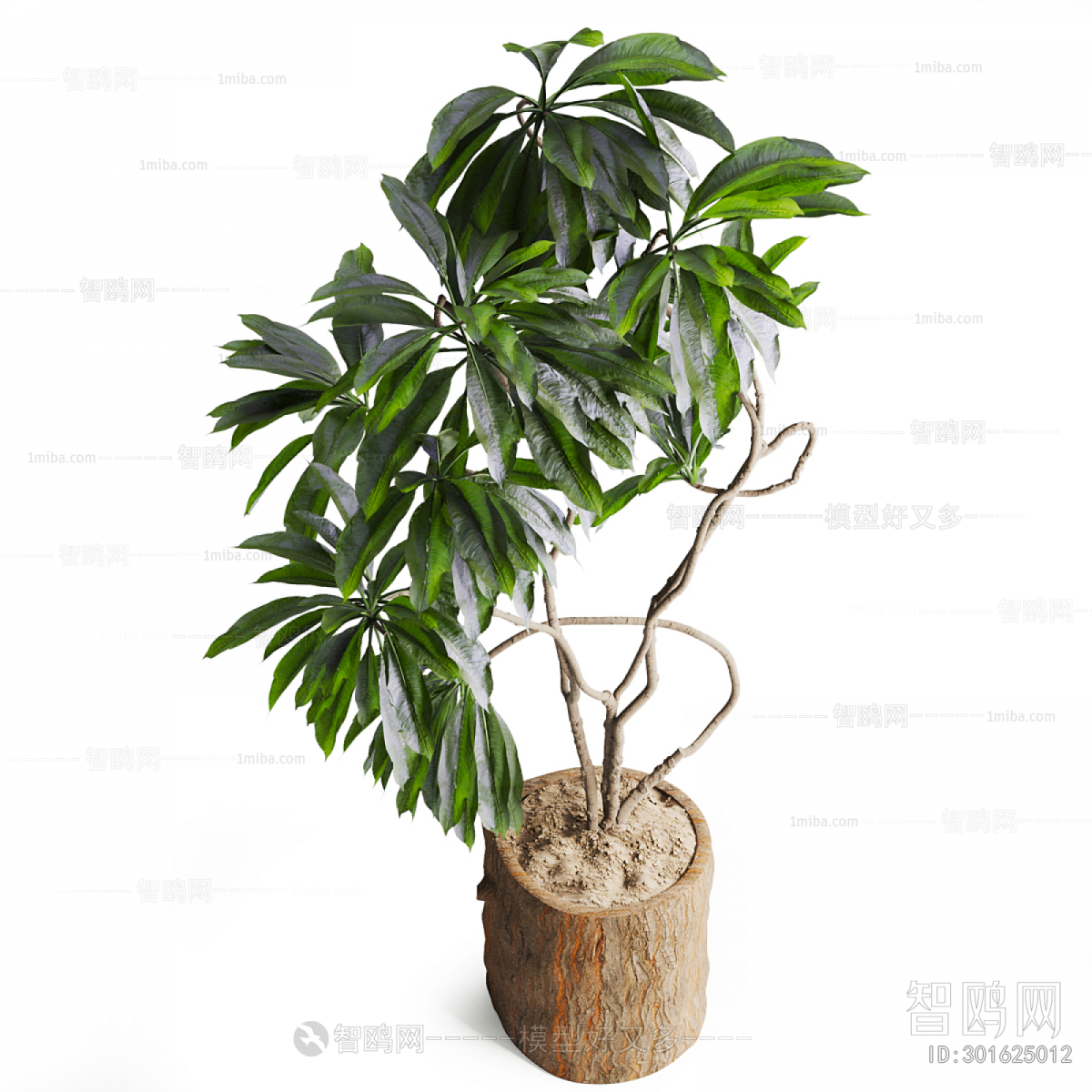 Modern Ground Green Plant Potted Plants