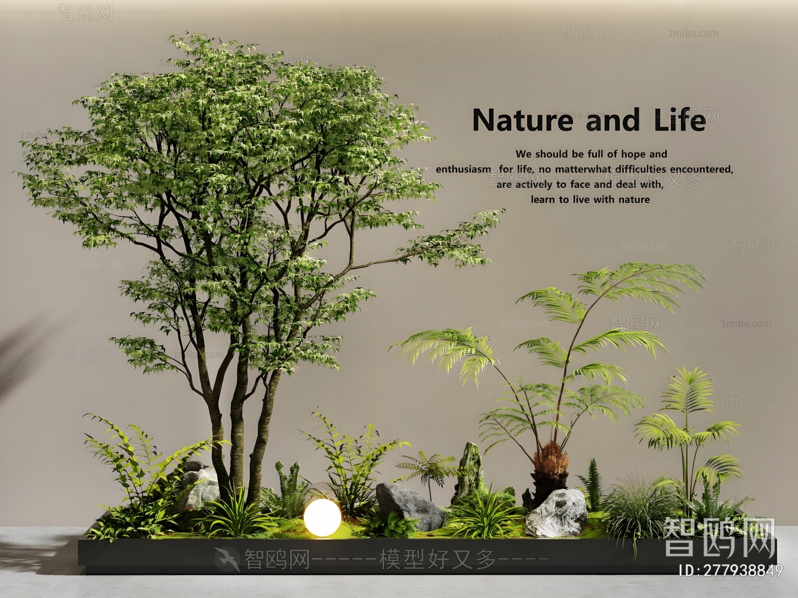 Modern Plant Landscaping