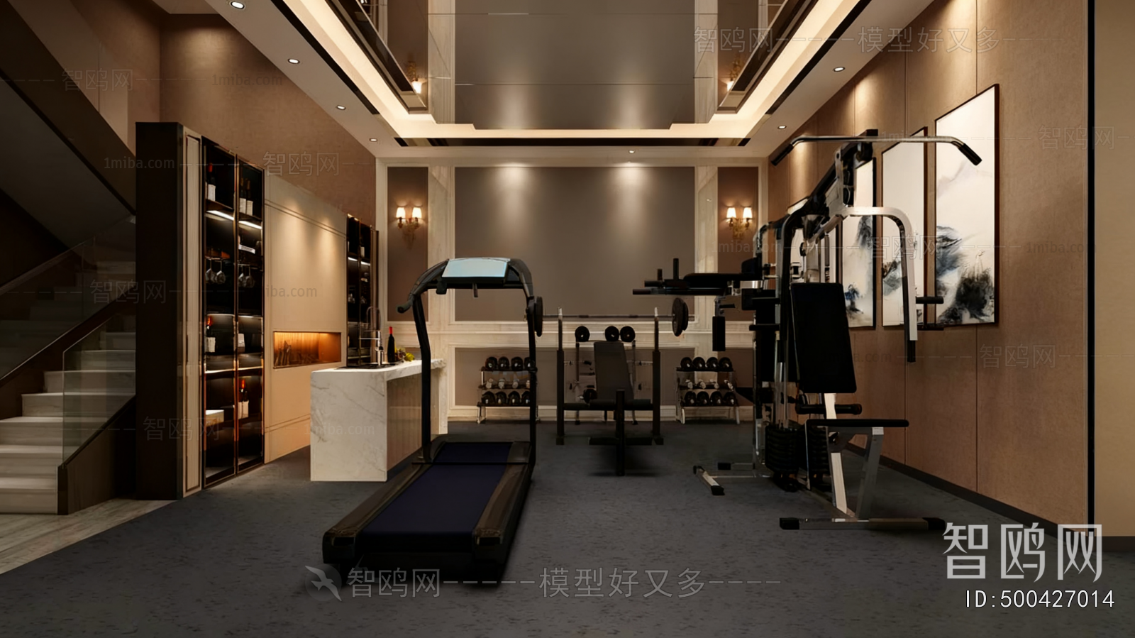 Modern Home Fitness Room