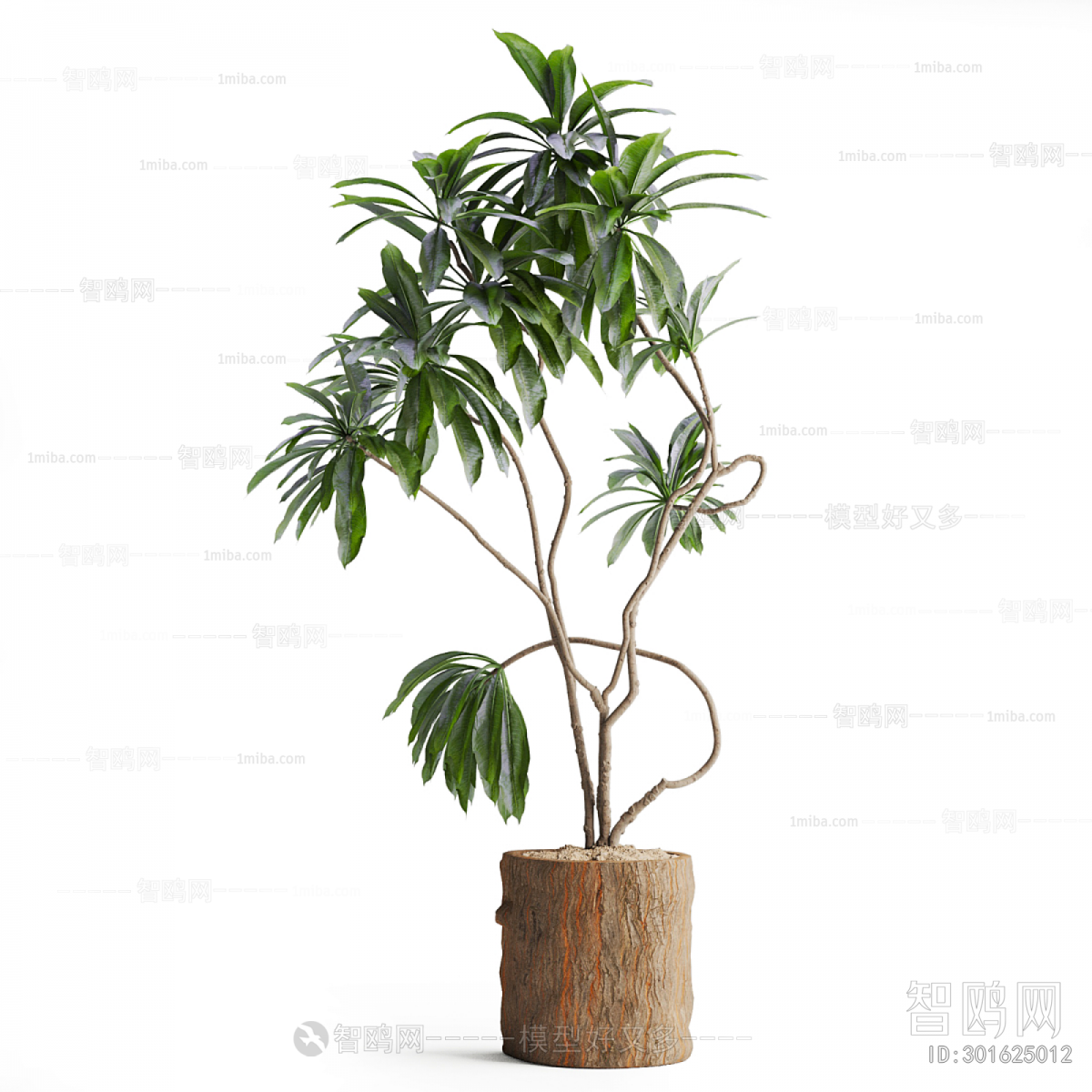 Modern Ground Green Plant Potted Plants