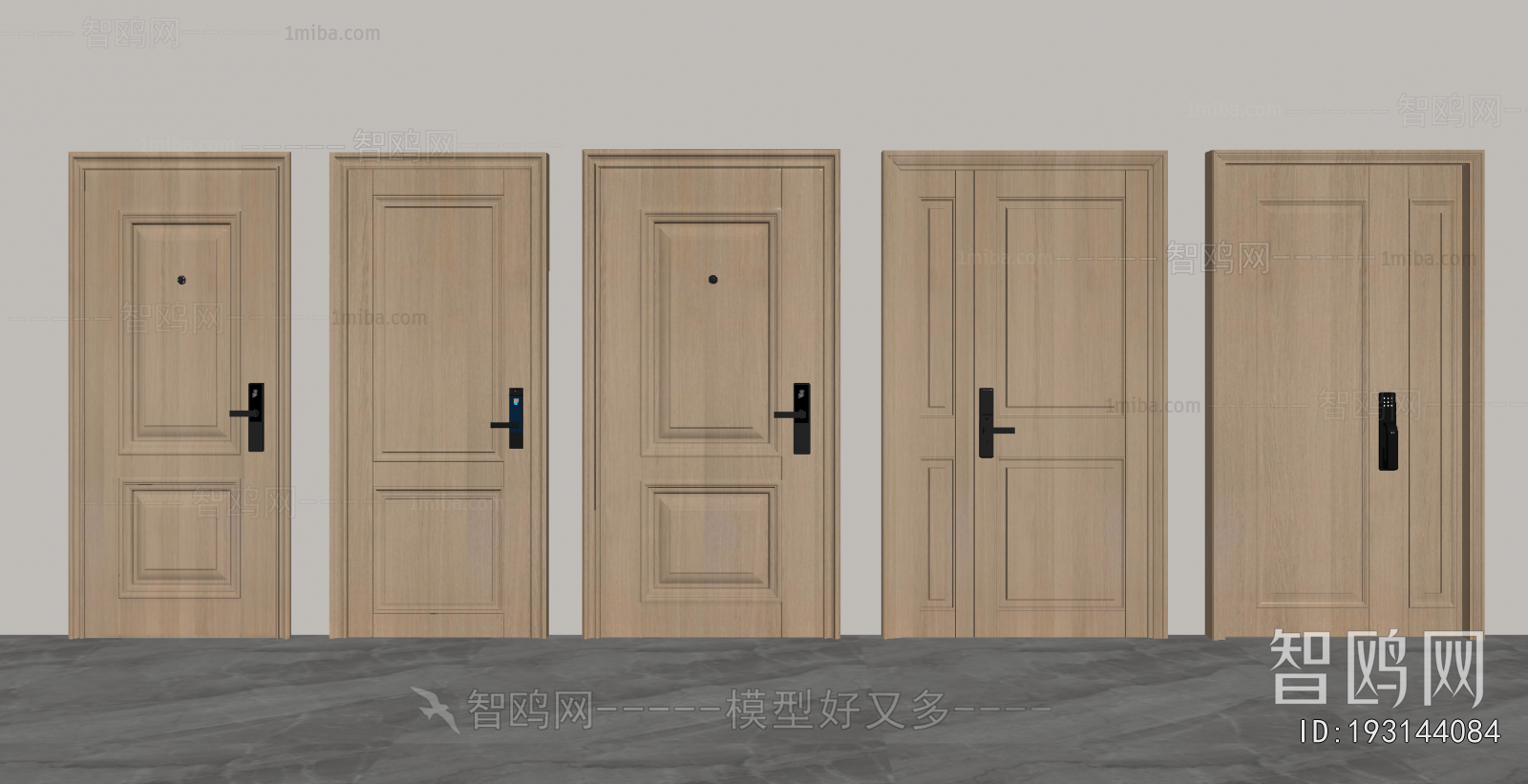 Modern Entrance Door