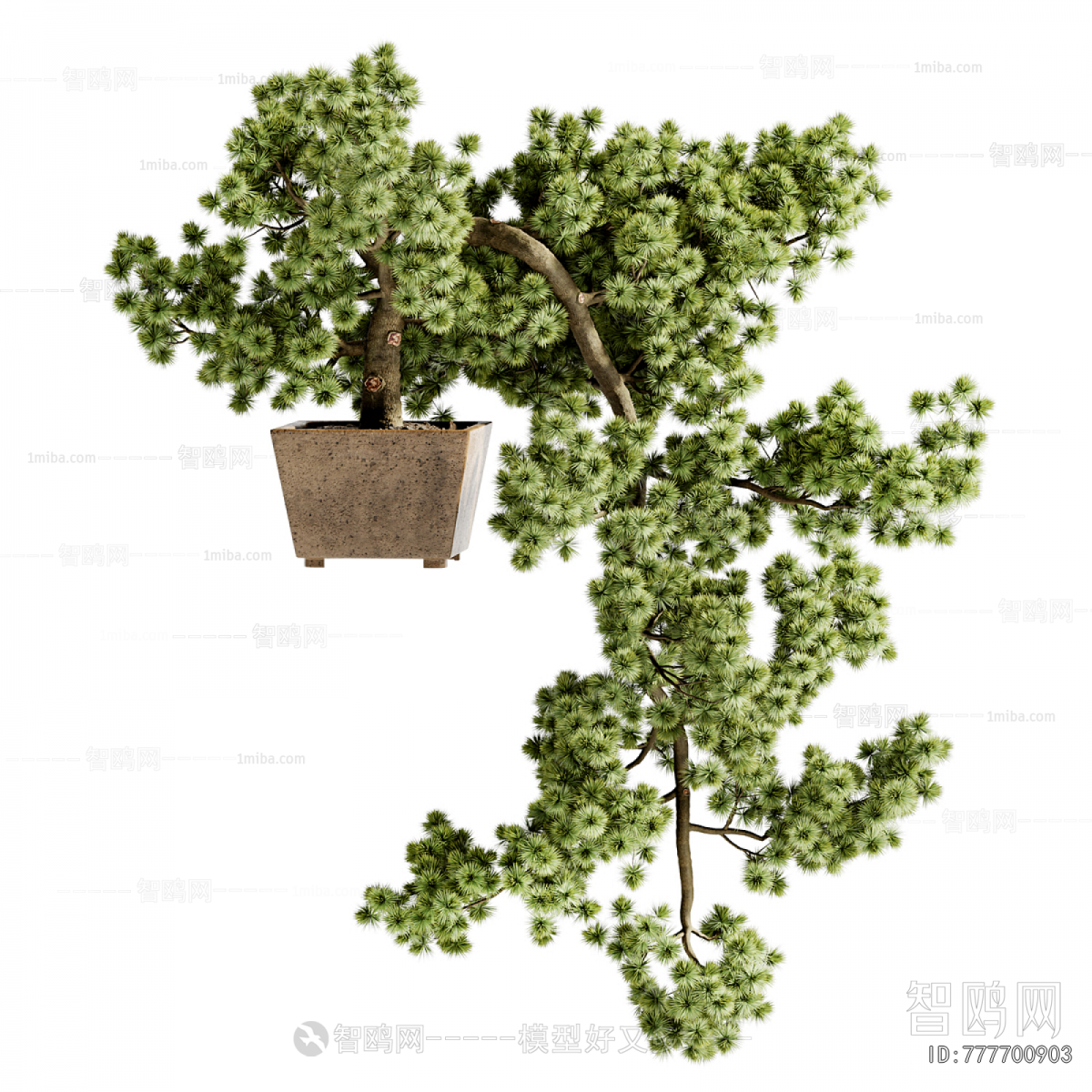 New Chinese Style Bonsai