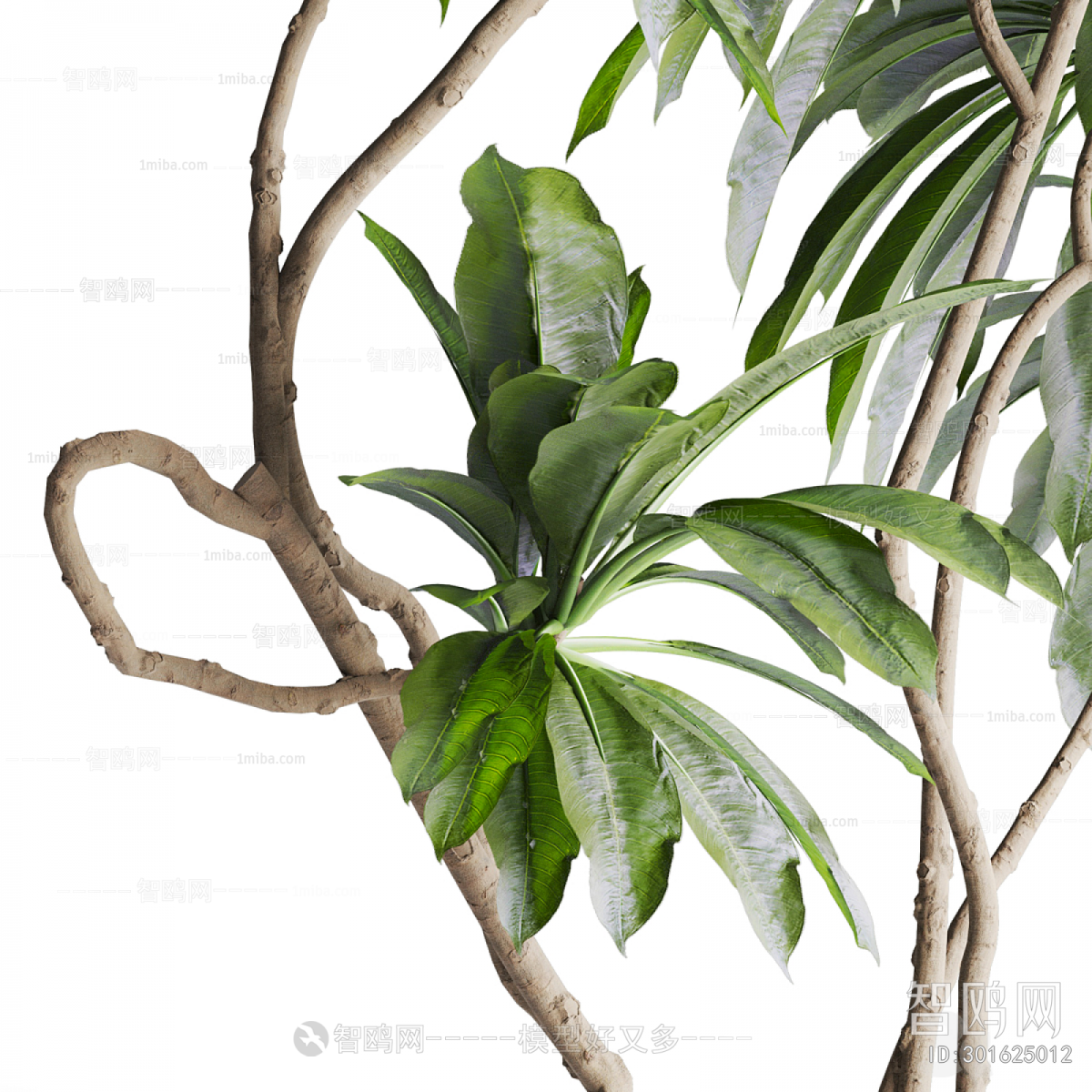 Modern Ground Green Plant Potted Plants