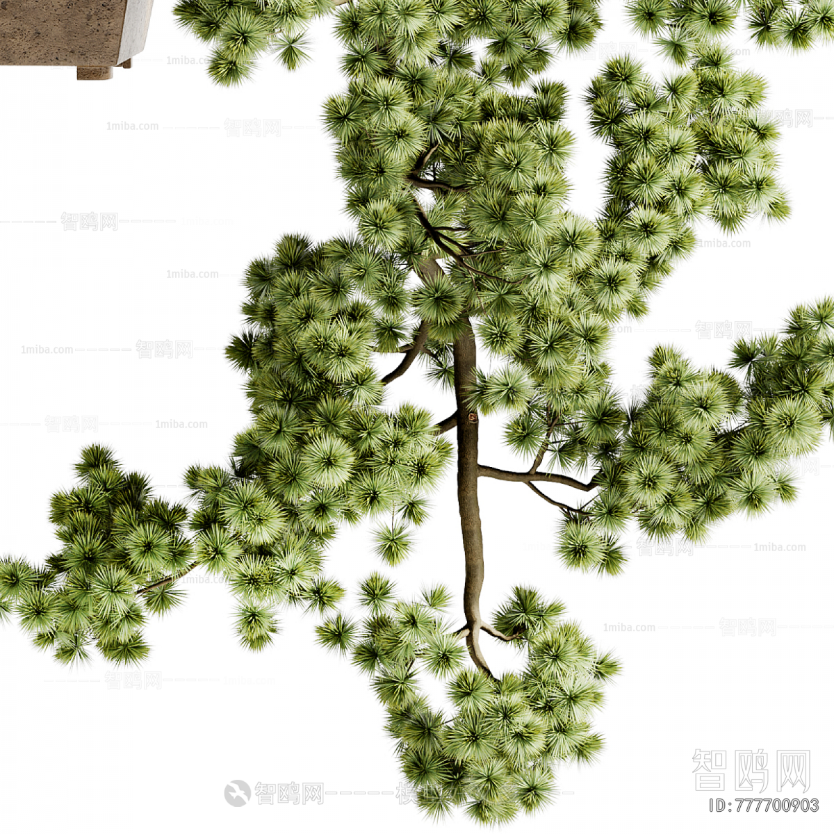 New Chinese Style Bonsai