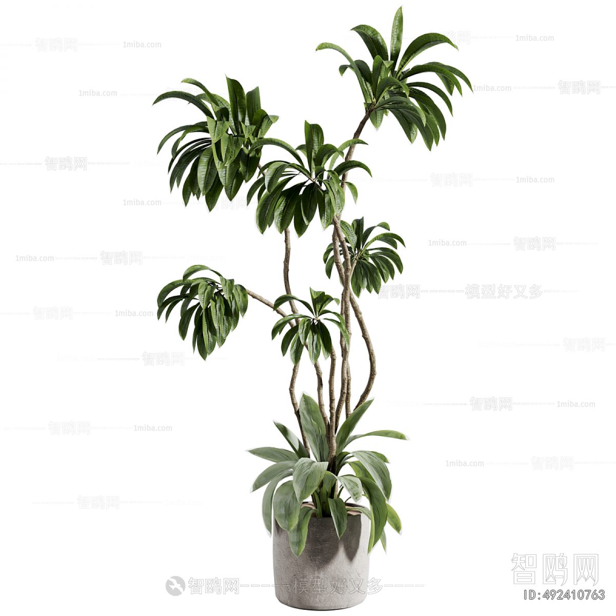Modern Ground Green Plant Potted Plants