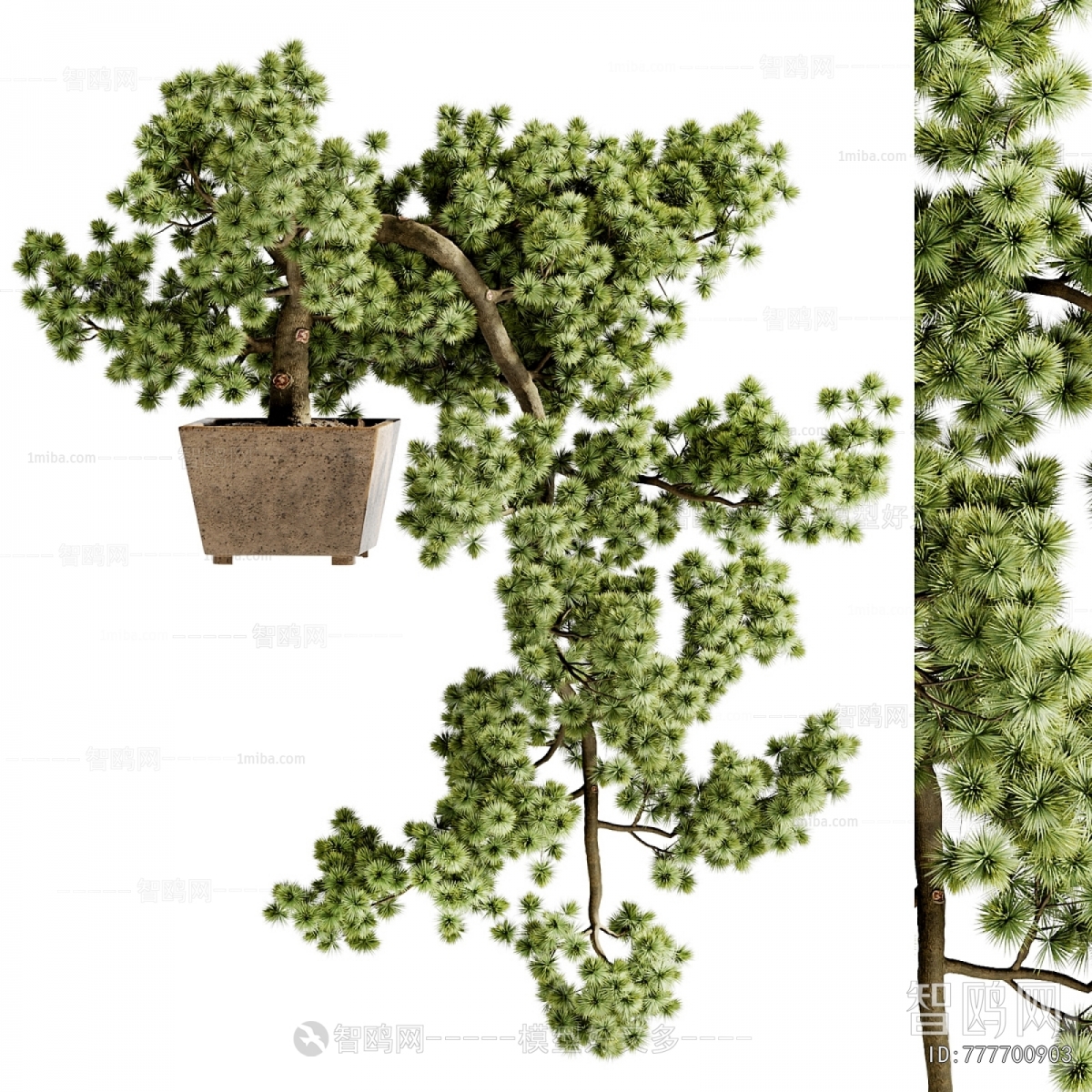 New Chinese Style Bonsai