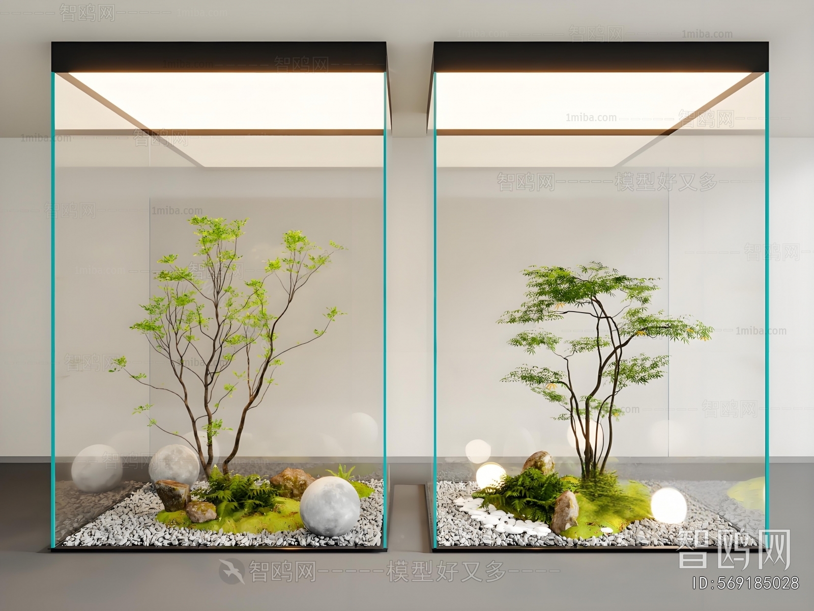 Modern Plant Landscaping