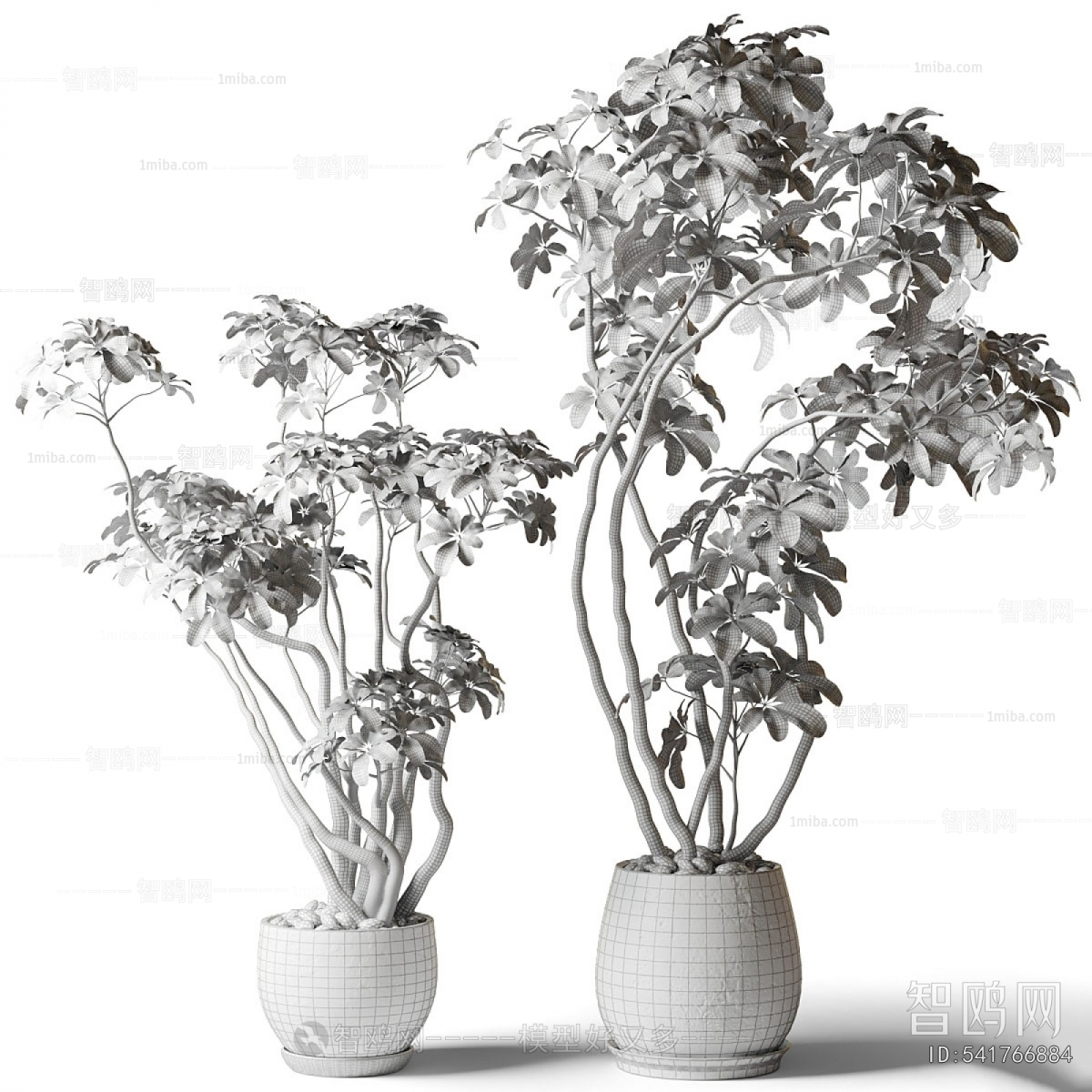 Modern Ground Green Plant Potted Plants