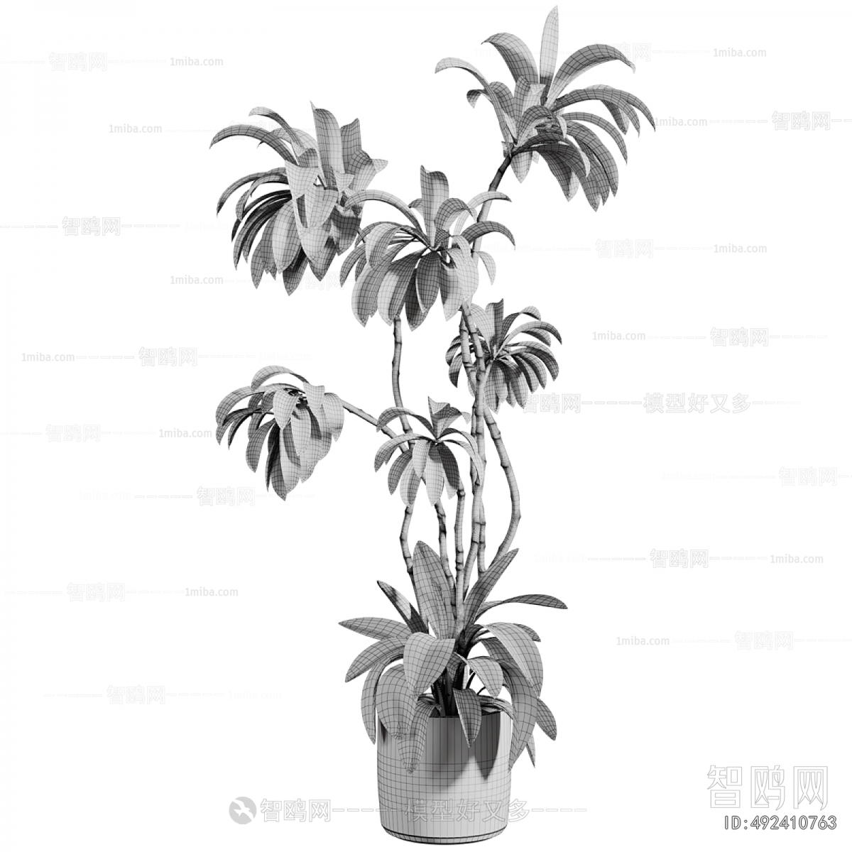 Modern Ground Green Plant Potted Plants