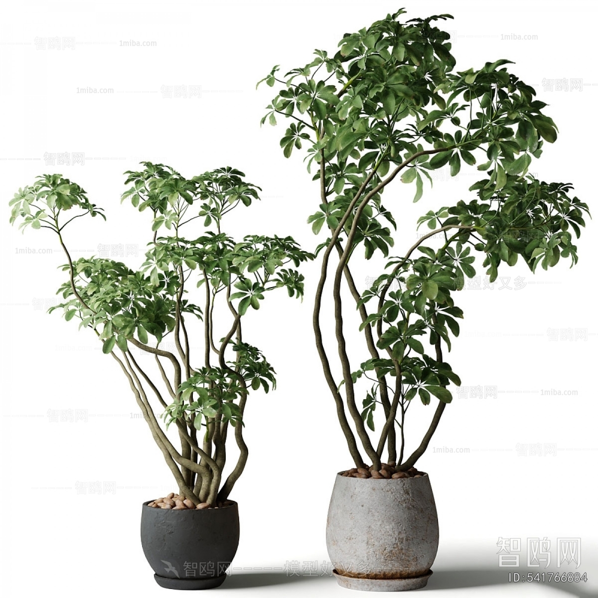 Modern Ground Green Plant Potted Plants