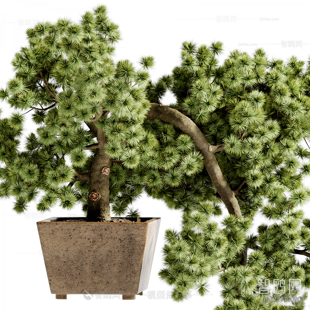 New Chinese Style Bonsai