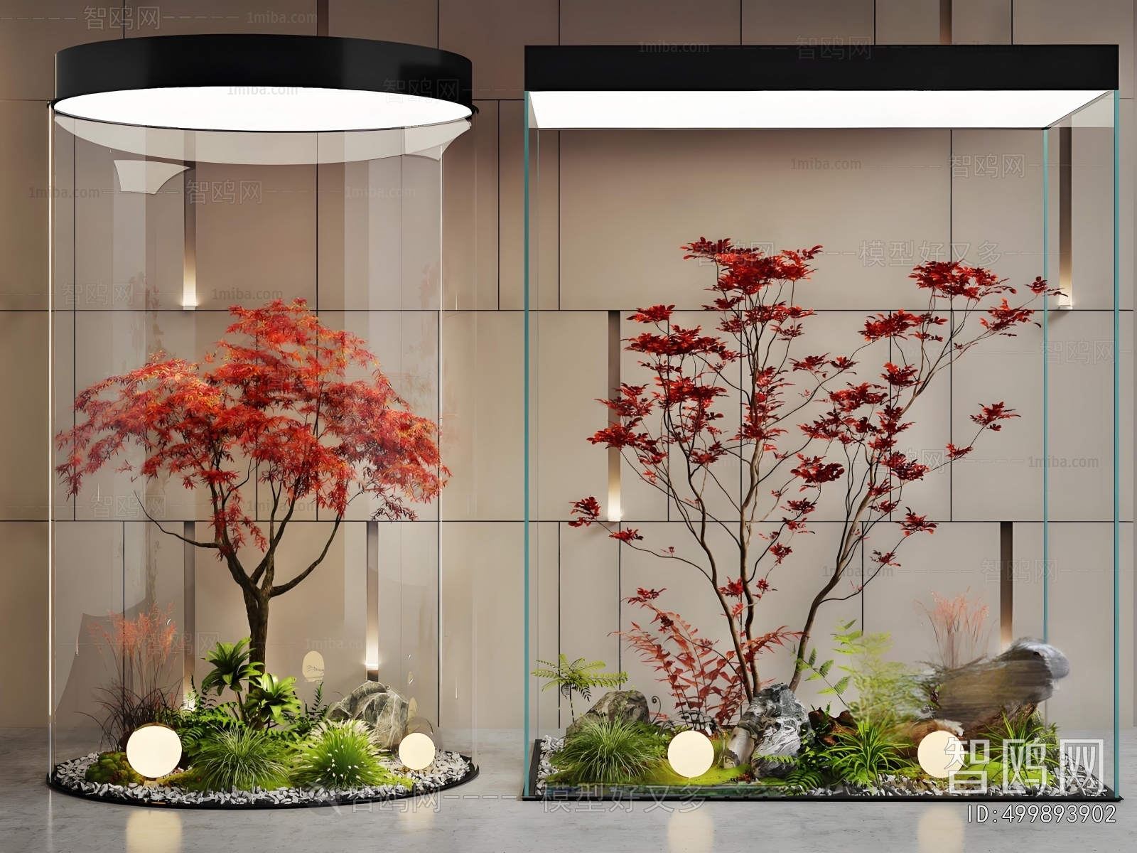 Modern Plant Landscaping