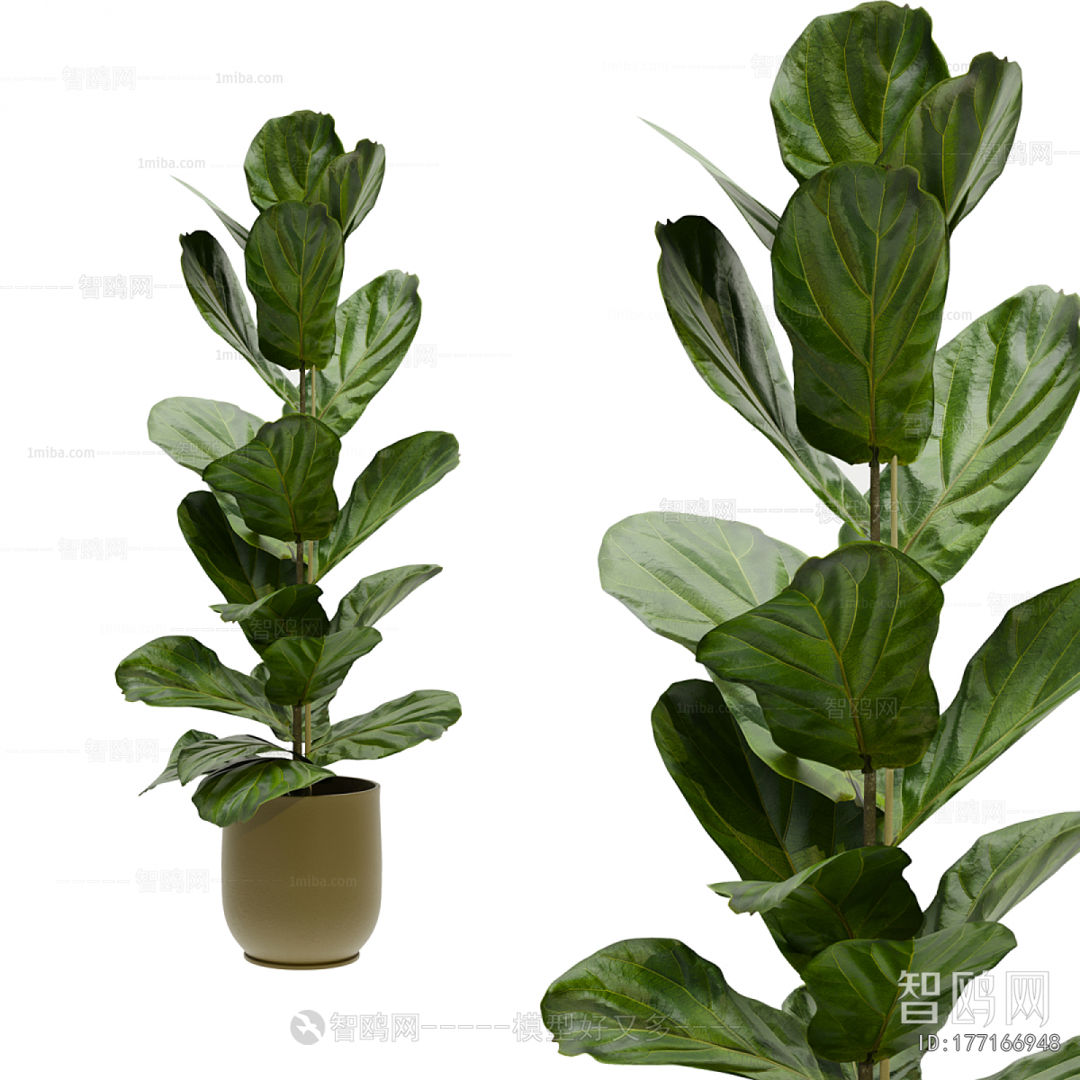Modern Ground Green Plant Potted Plants