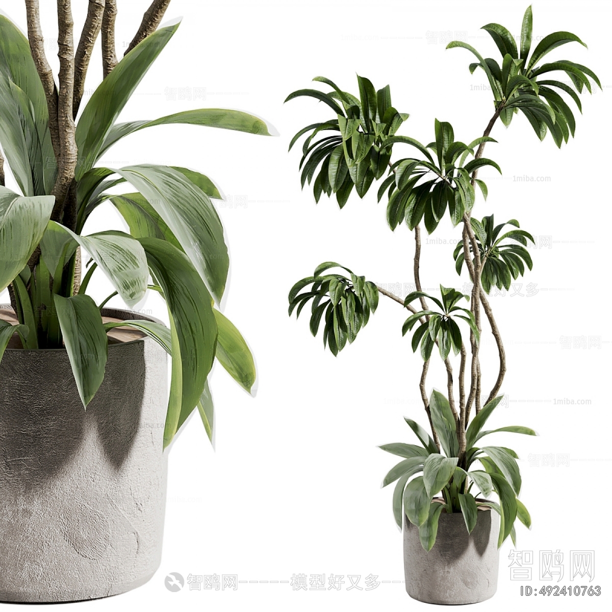 Modern Ground Green Plant Potted Plants