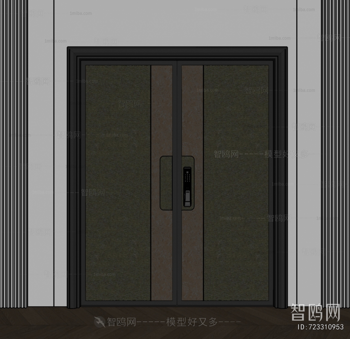 Modern Entrance Door