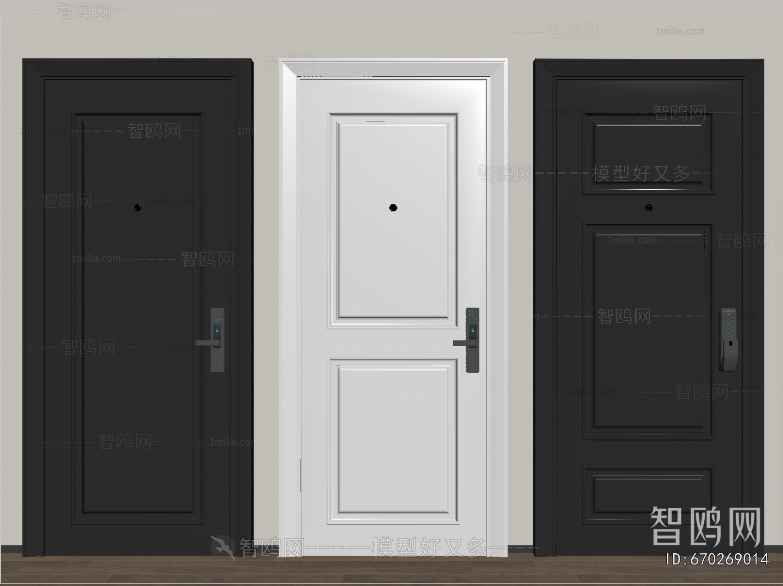 Modern Entrance Door