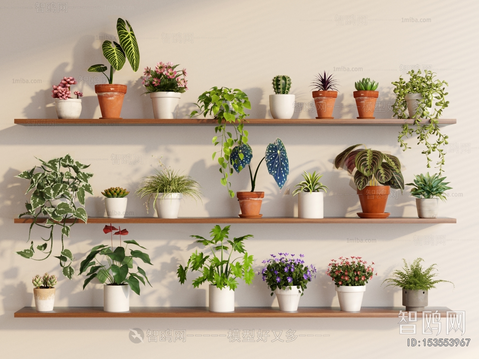 Modern Potted Green Plant