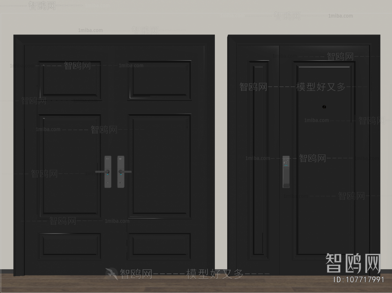 Modern Entrance Door