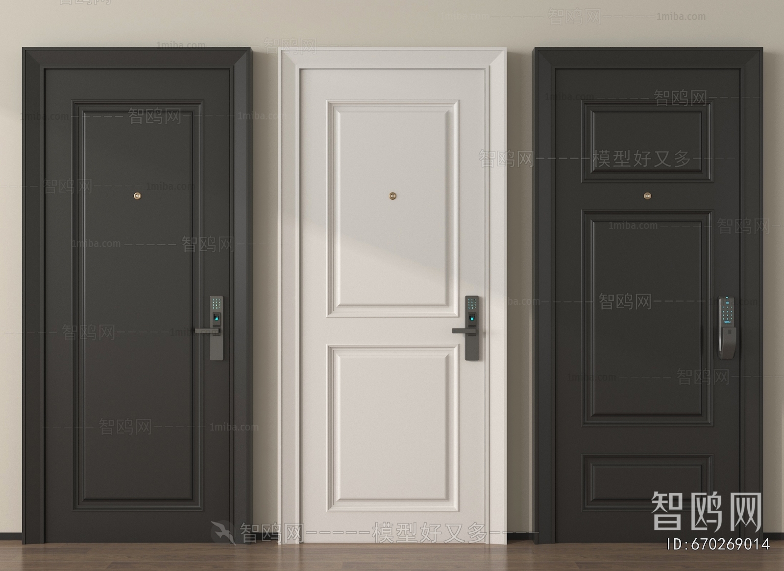 Modern Entrance Door