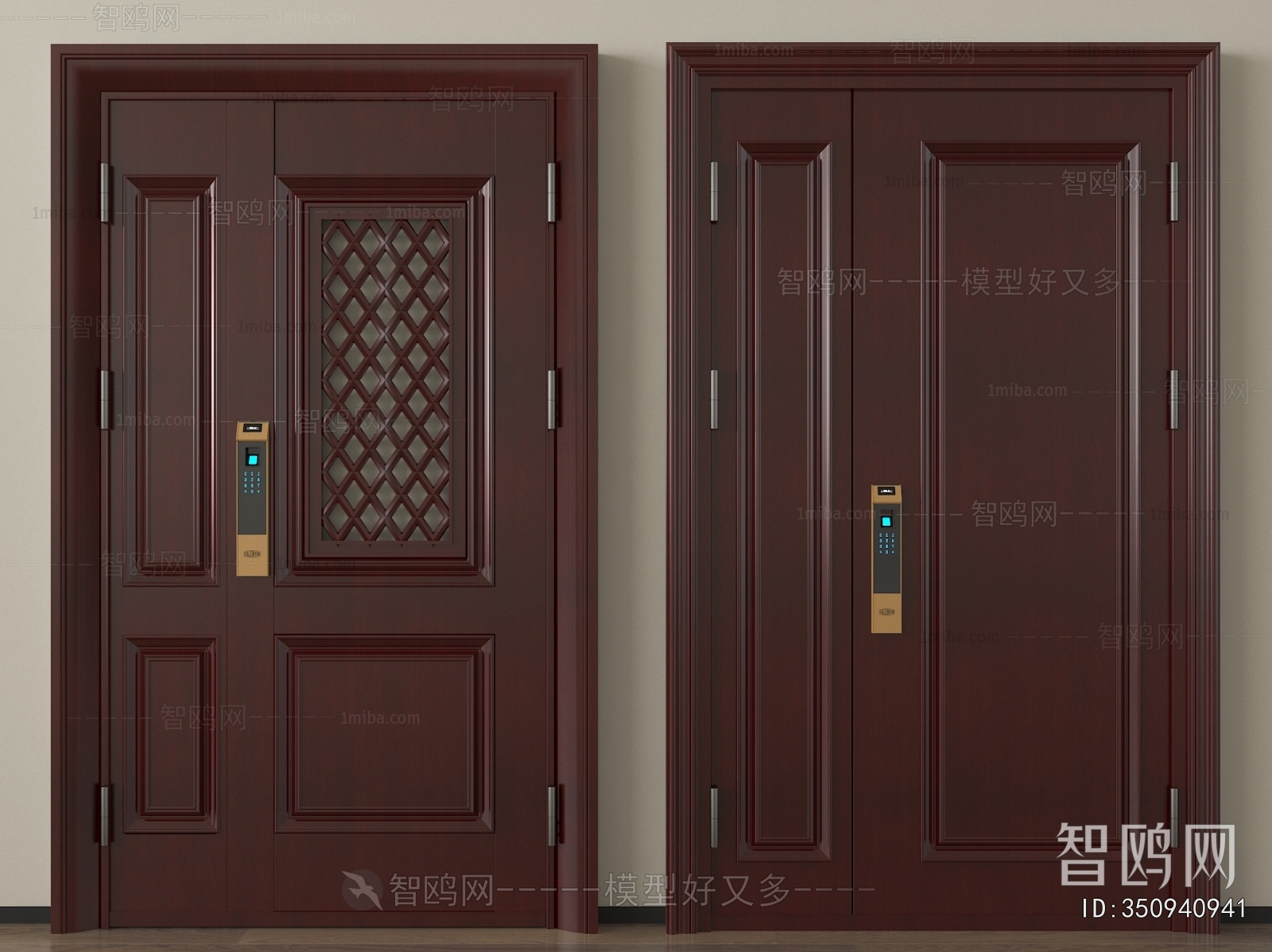 Modern Entrance Door