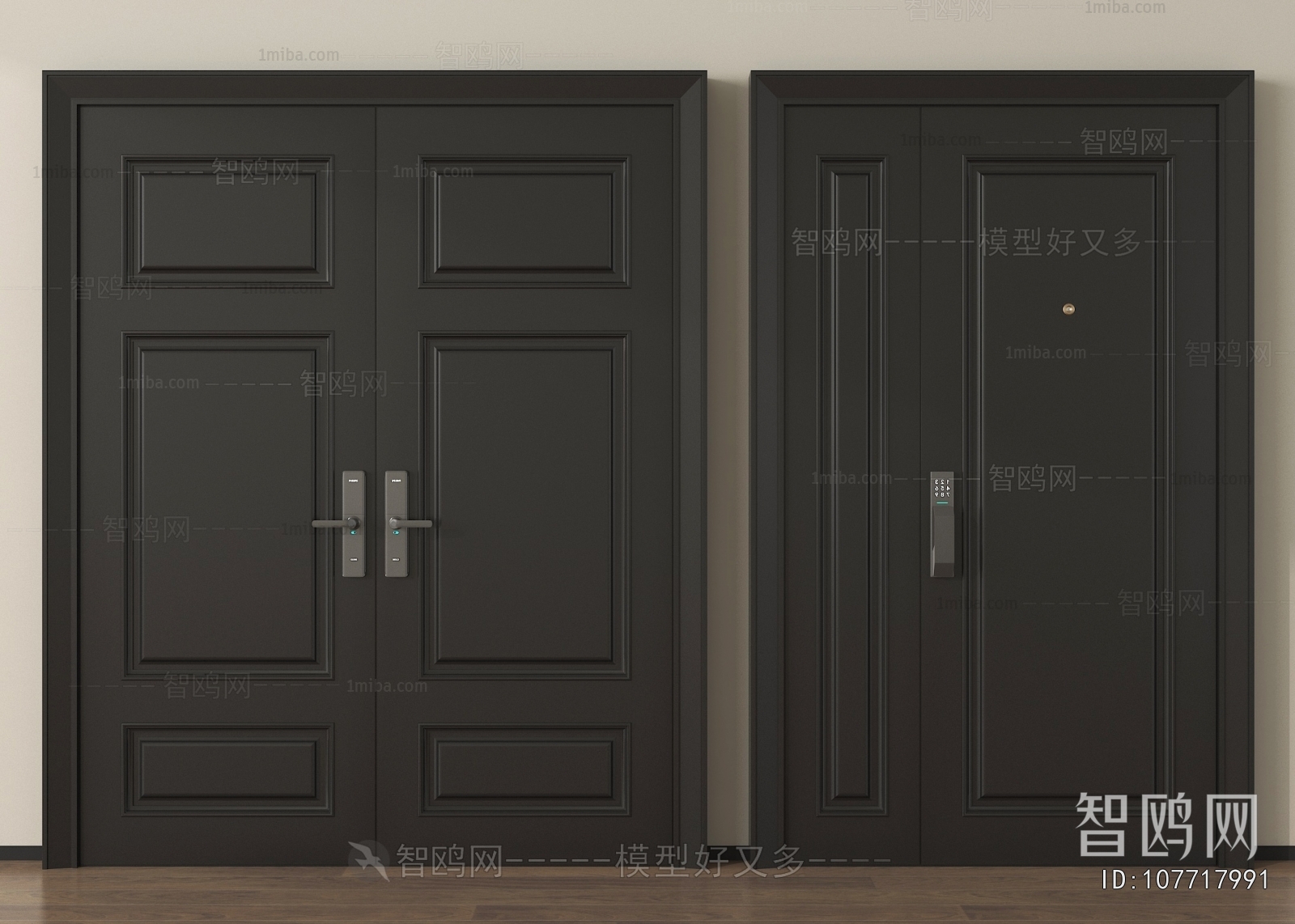 Modern Entrance Door