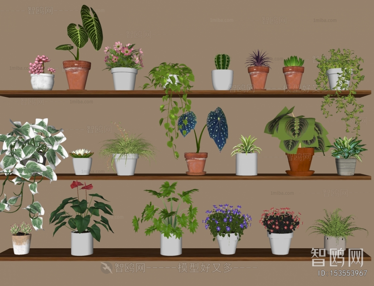 Modern Potted Green Plant