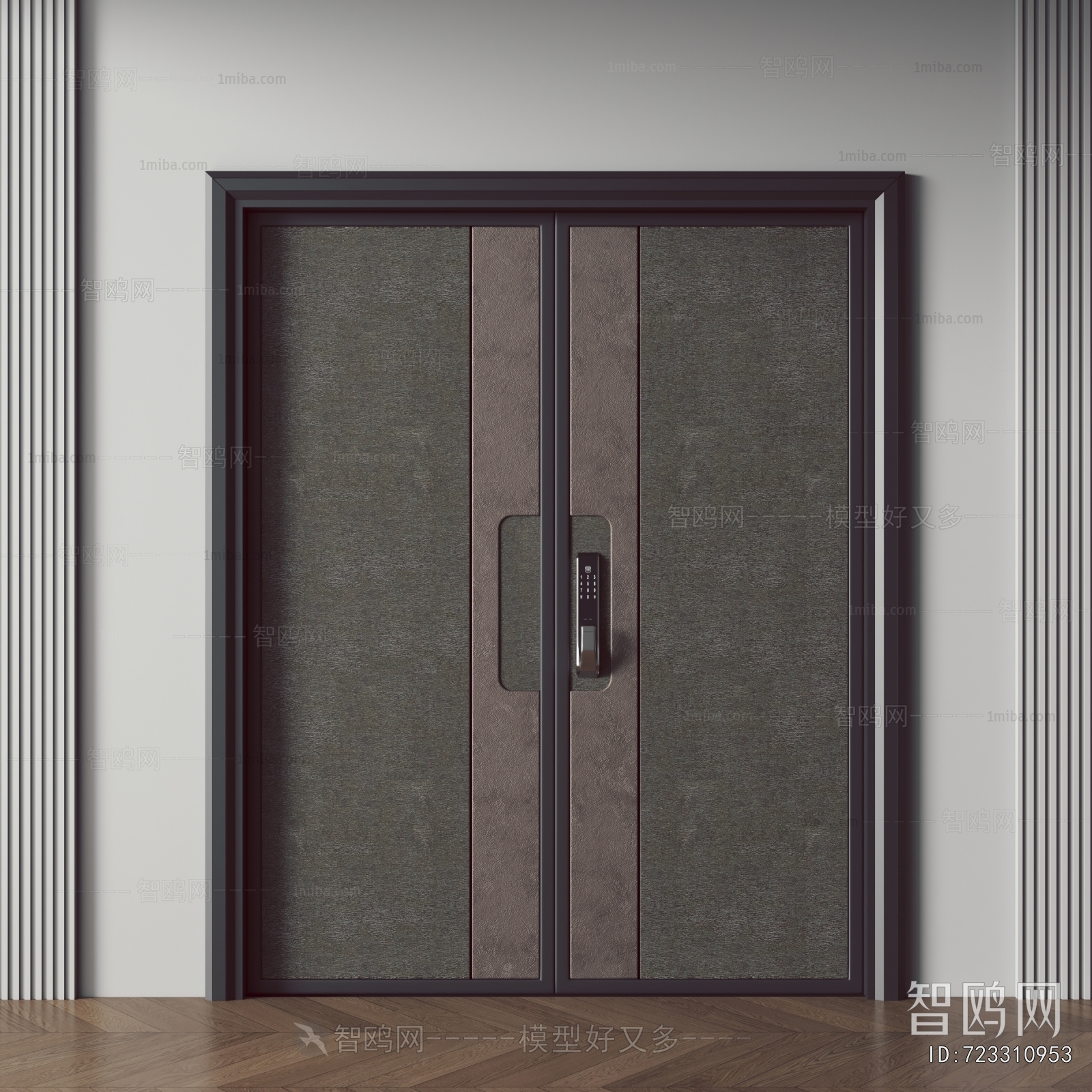 Modern Entrance Door