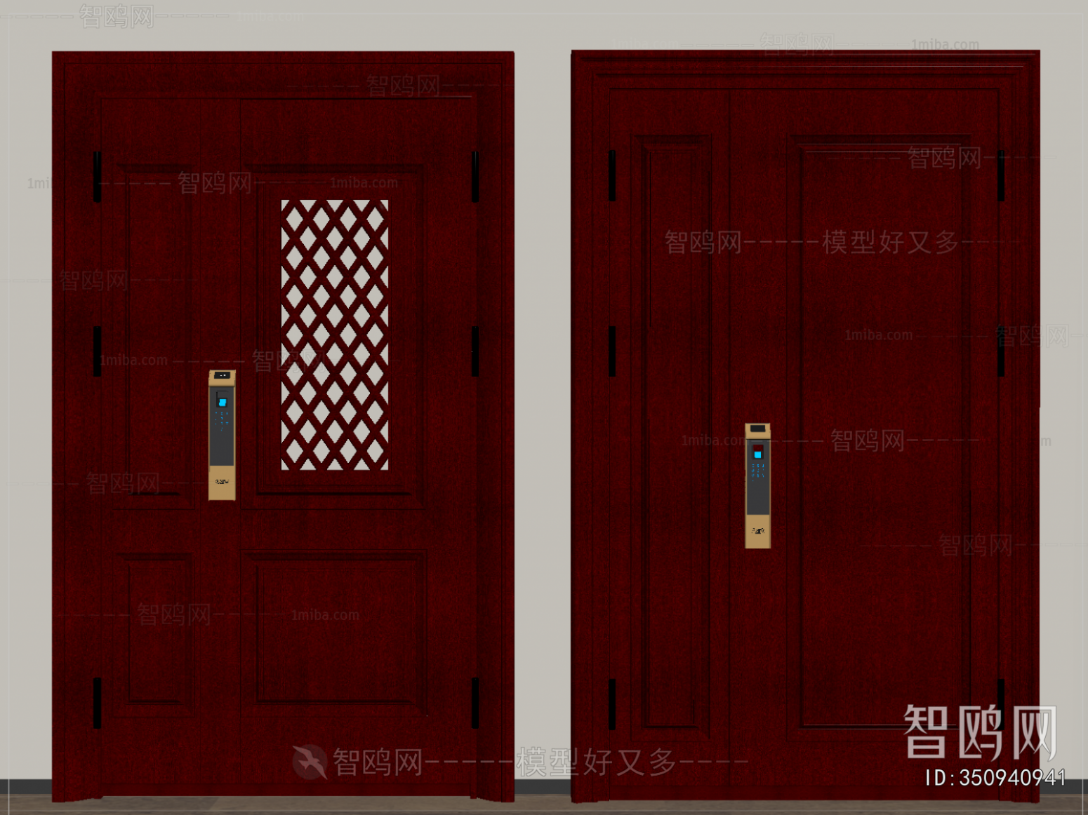 Modern Entrance Door