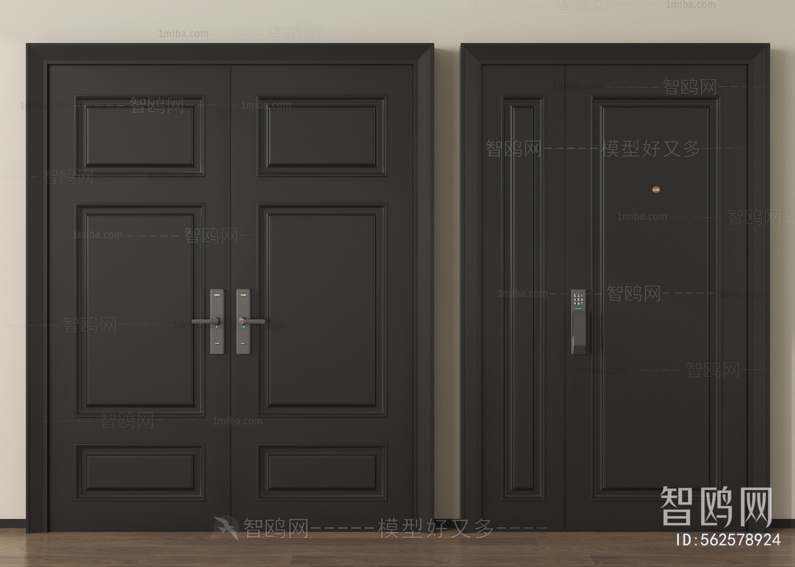 Modern Entrance Door