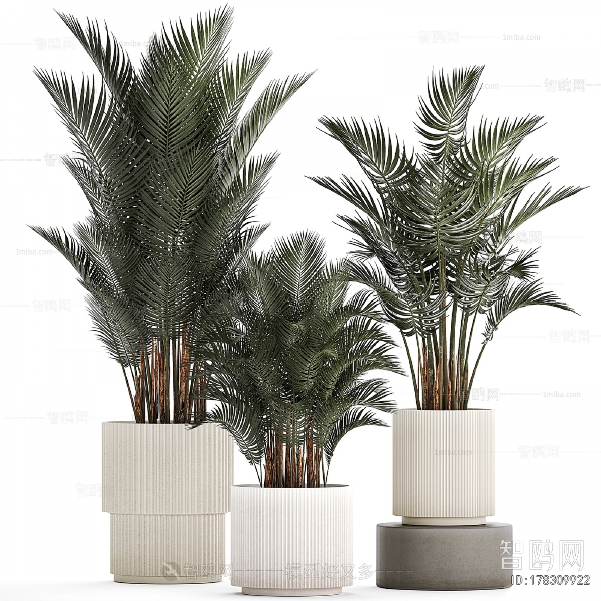 Modern Ground Green Plant Potted Plants
