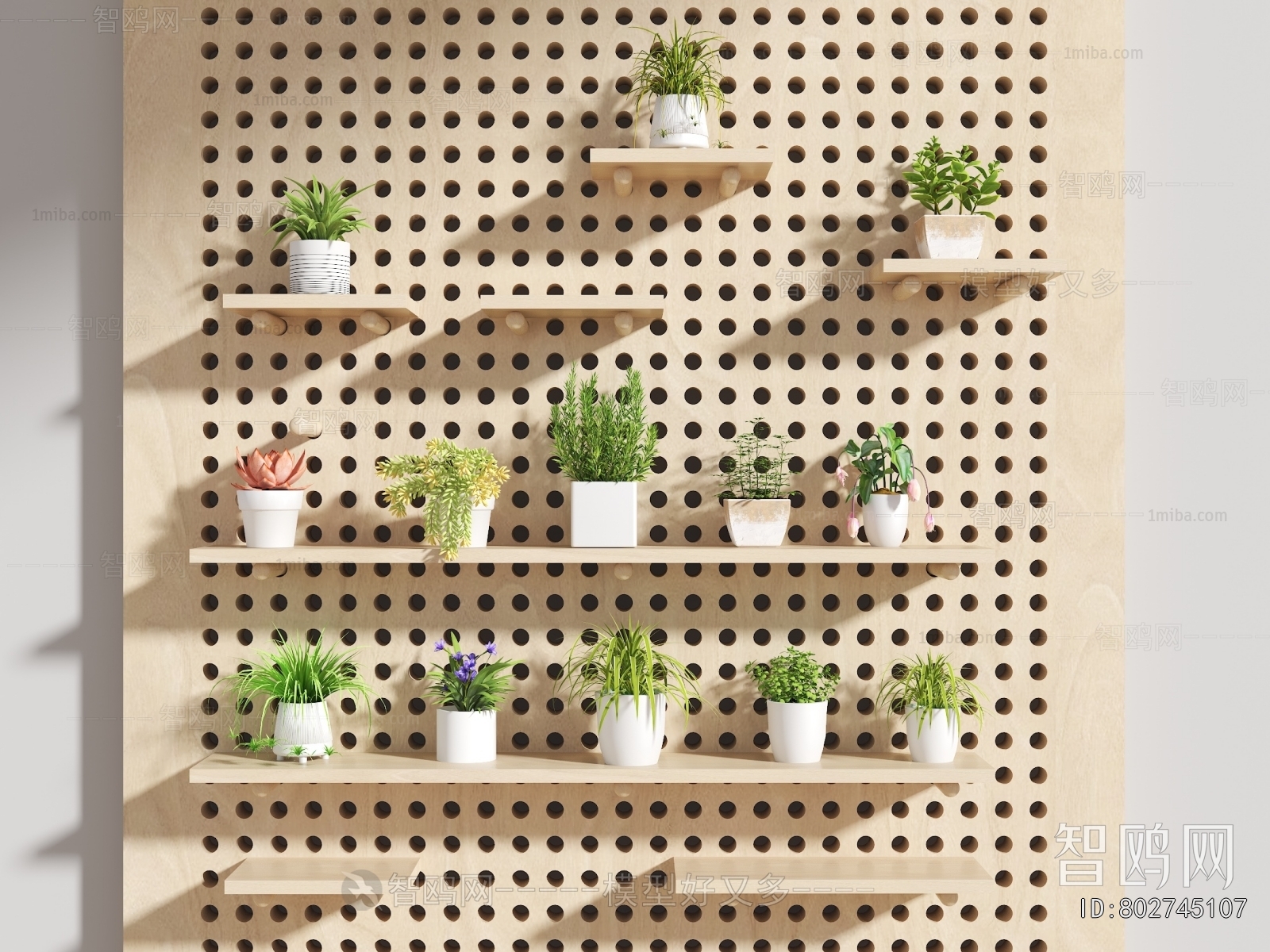 Modern Potted Green Plant