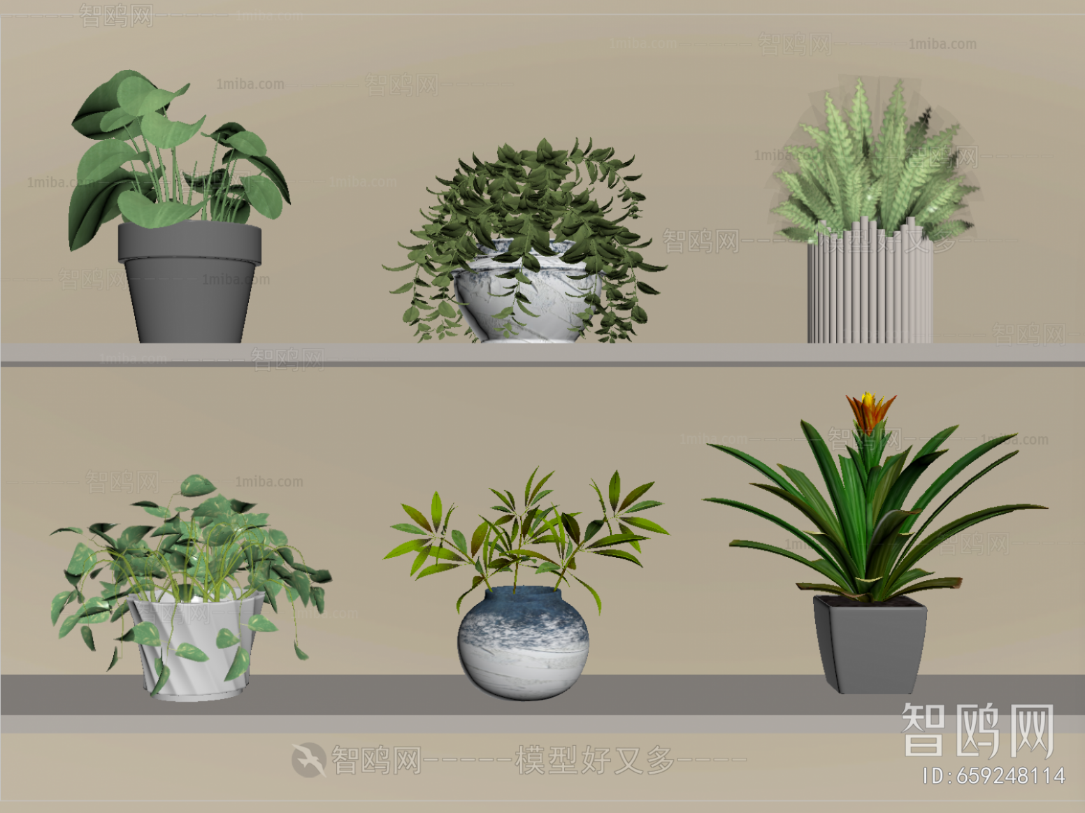 Modern Potted Green Plant