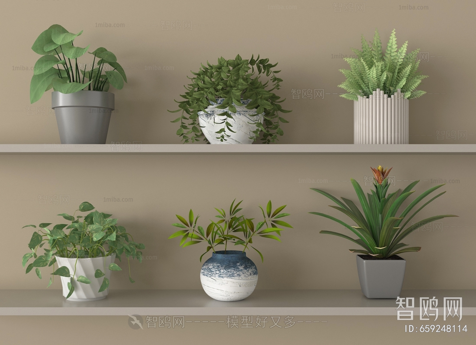 Modern Potted Green Plant
