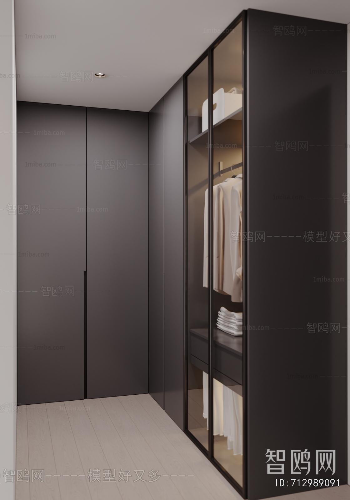 Modern Clothes Storage Area