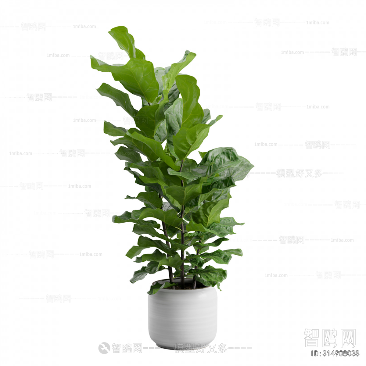 Modern Ground Green Plant Potted Plants