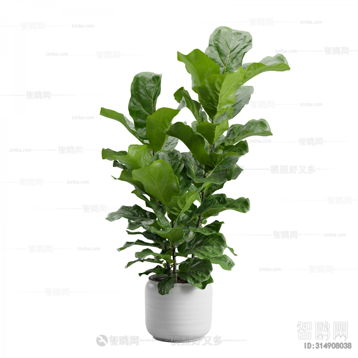 Modern Ground Green Plant Potted Plants