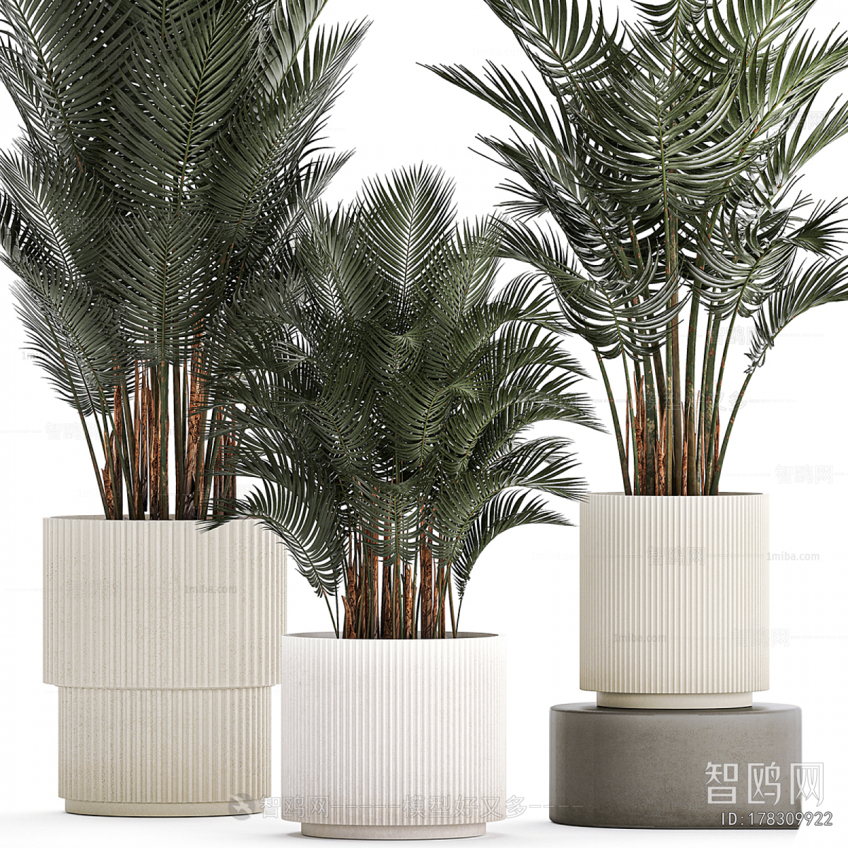 Modern Ground Green Plant Potted Plants