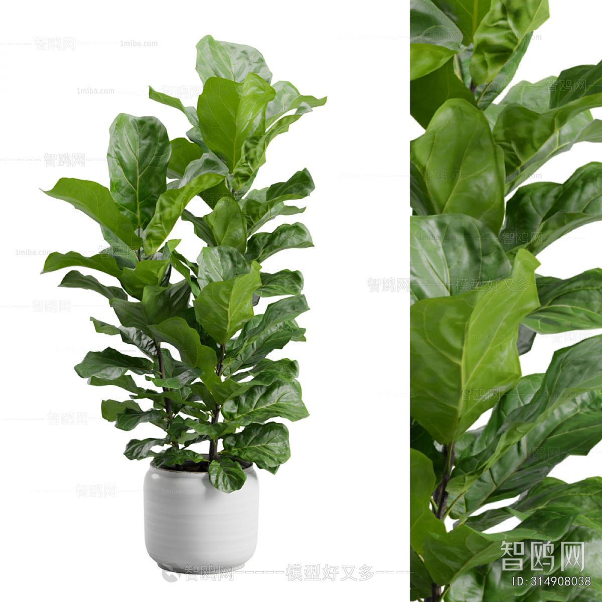 Modern Ground Green Plant Potted Plants