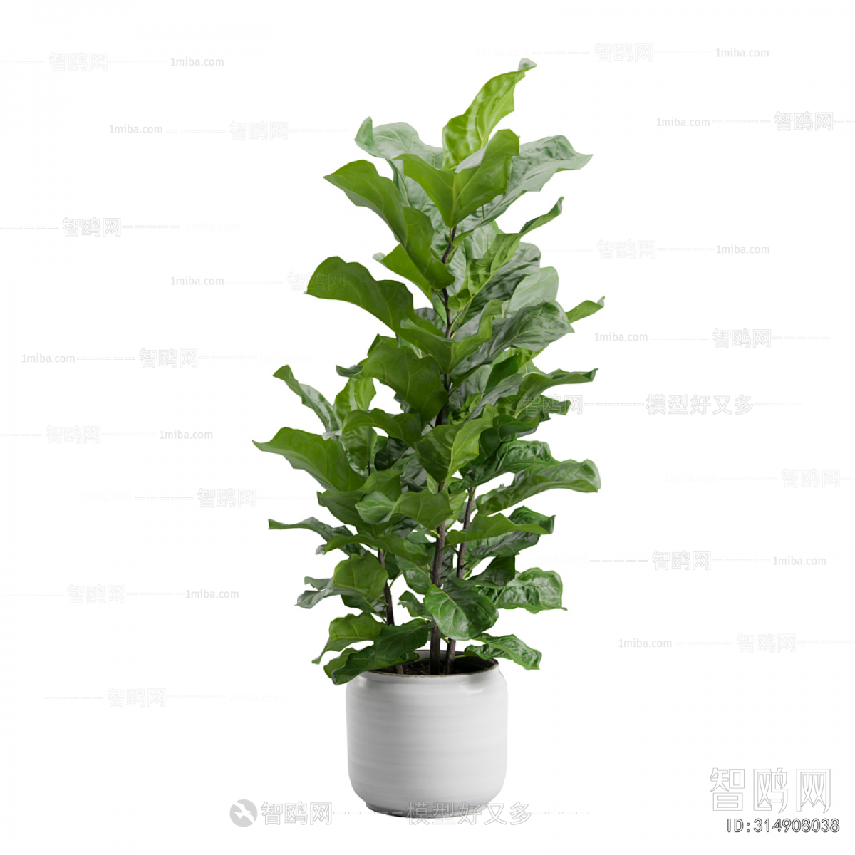 Modern Ground Green Plant Potted Plants